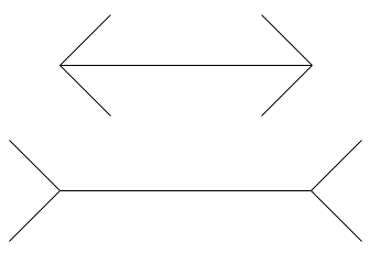 Slika 1. Müller-Lyerjeva iluzija.