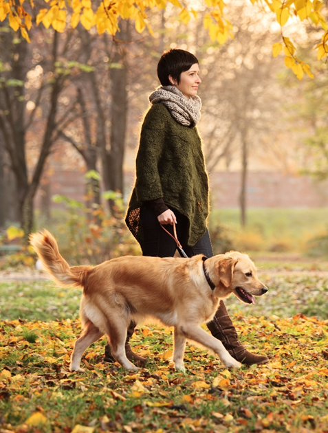  Slika 1: Staranje in pes: sprehod s psom, poleg fizične aktivnosti, spodbuja pozitivne in predvidljive socialne interakcije, posledično se pri starejših ljudeh, tudi z zgodnjo obliko Alzheimerjeve bolezni, zmanjša občutek osamljenosti in izolacije.