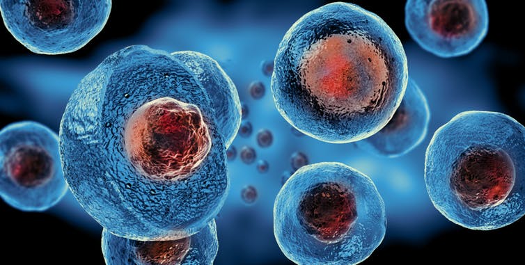  Slika 1: Matične celice so jedro mnogih današnjih raziskav v medicini, saj izkazujejo močan regenerativni potencial za zdravljenje različnih bolezni.